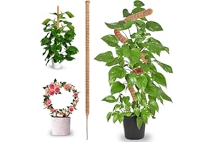 KITDAHOM Tutores para Plantas - Tutores para Plantas Trepadoras - Tutor Monstera - 70 cm de fibra de coco, flexible, ideal para plantas trepadoras de interior, para apoyar y guiar el crecimiento de las plantas