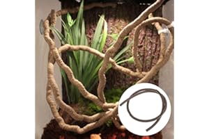 Yanhonin Decor - Terrario para reptiles anfibios