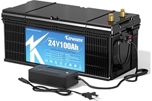 KEPWORTH 24V 100Ah LiFePO4 batteria al litio, max. 2560W di potenza, 100A BMS, 4000-15000 cicli profondi e 10 anni di durata, per barca, camper, trolling motor, sistema solare off-grid