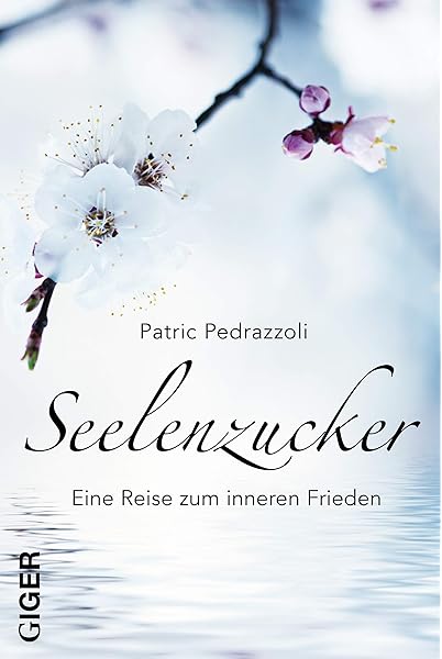 Seelenzucker Eine Reise Zum Inneren Frieden Und In Das Innerste Deiner Seele Mit Vorwort Von Pascal Voggenhuber Amazon De Pedrazzoli Patric Bucher