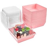 LATERN 50 Pieces Cake Slice Boxes with Transparent Lids, 12 cm Oil-proof Paper Dessert Boxes Cupcakes Take Out Boxes for Sand
