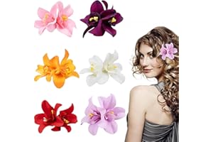 LEIBOCHAO 6 Pezzi Hawaii Fiore per Capelli Donna, Fermagli Capelli Bambina, Fiori mollette, Orchidee Doppie Colorate Forcine, Clip Accessori Capelli Cerimonia per Sposa Ragazze Festa Spiaggia Nozze Estate