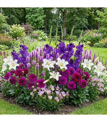 Ortie graines Coleus mélange plants en pot hiver dur plantes de jardin balcon plantes couverture
