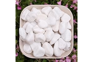 Hoobao 500g Ciottoli Bianchi,Sassolini Bianchi Decorativi per Vasi,Ghiaia Naturale Decorazione dell'acquario,per Vaso da Fiori Acquari da Giardino Succulenti Acquario,Casa e Giardino