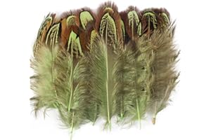 WANGRUIDA Lot de 200 plumes de faisan Vert fruit de 5 à 7 cm pour travaux manuels, couture, vêtements, accessoires de décoration