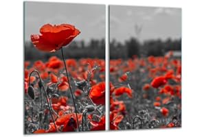 TMK ARTDEKO TMK - Plaque de protection universelle pour plaque de cuisson 2 x 30 x 52 cm Pour plaques de cuisson Protection contre les éclaboussures Planche a découper en verre trempé Décoration, rouge fleurs