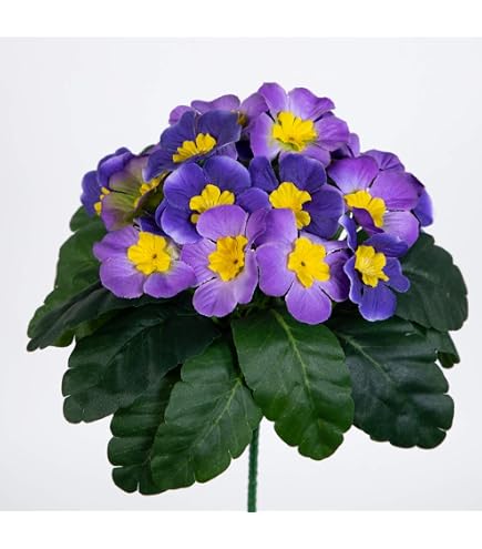 Amazon.de: mucplants Primelbusch 20cm lila Stecker knstliche Primeln  Primeln Primula Schlsselblumen Kunstpflanzen Kunstblumen
