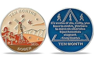‎ATSKNSK AtSKnSK 10 Monat Nüchternheit Münze Zehn Monate AA Chips und Medaillons Nüchternheit Geschenke für Damen Männer Alkoholiker Anonyme Sucht Erholung Geschenk