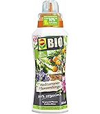COMPO BIO Olivenbaumdnger Spezial-Flssigdnger