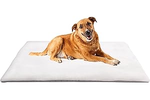 ‎VITAZOO vitazoo Thermo Hundedecke - 100 x 70 cm Gross - Hundematte zum Mitnehmen für Unterwegs oder Outdoor - rutschfest, Waschbar, Wasserdicht, Faltbar und Flauschig Gepolstert - Weiß