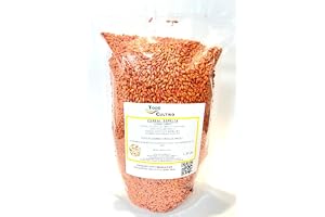 Spelt vetekorn för sådd 1 kg. Triticum stavat och ren