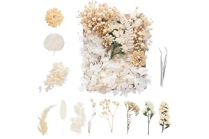 Aotfusd Fleurs séchées, Fleurs séchées, Fleurs séchées pour Artisanat, Ensemble de Fleurs séchées Blanches, Fleurs séchées pour Bougies, Accessoires de Scrapbook en résine époxy DIY (Blanc)