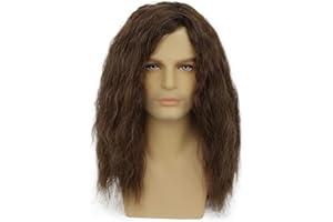 BEWEIG Peluca larga marrón para hombre, pelucas onduladas largas para hombres, pelucas de pelo sintético resistente al calor de parte media para fiesta diaria, disfraz de Halloween