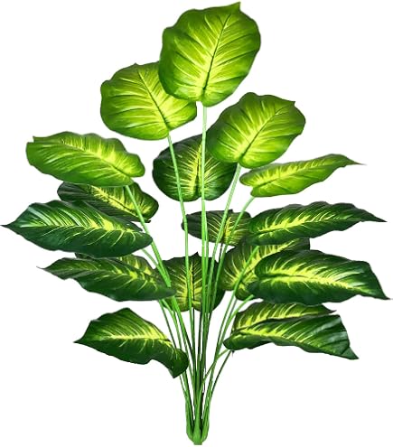 syngonium variegata vergrünt Syngonium podophyllum albo variegata – Plantastic