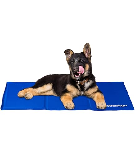 Kühlmatte Für Hund & Katze – Selbstkühlend, Waschbar, 70 X 55 Cm, Ideal Für Sommer, Auto & Zuhause