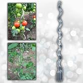 AKTEPE GROUP 20 Adet 150 Cm Metal Spiral Bitki Destek &Ccedil;ubuğu Hobi Bah&ccedil;esi Bitki Bağlama Teli Sebze Desteği ve &Ccedil;i&ccedil;ek Teli