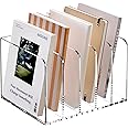 SANRUI Acrylic Magazine File Holder Desk Sorter Organizer, 5 Vertical