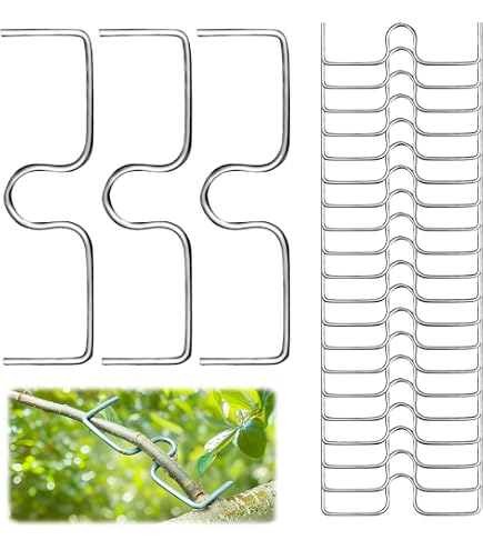 20 écarteurs De Branches En M - 10cm Fil Galvanisé - Pour Arbres Fruitiers Ou Jardin - Aide à La Croissance