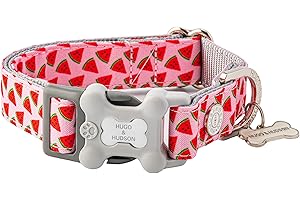 HUGO & HUDSON Nylon Dog Collar with Quick Release Safety Buckle, Pink Watermelon, M