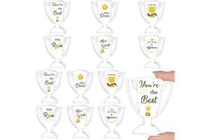 BANBAN 12 Pcs Employee of The Month Appreciation Acrylic Awards Trophies Bulk Small Employee Appreciation Gifts Inspirational Personalised Favors for Coworker Staff Nurses Volunteer