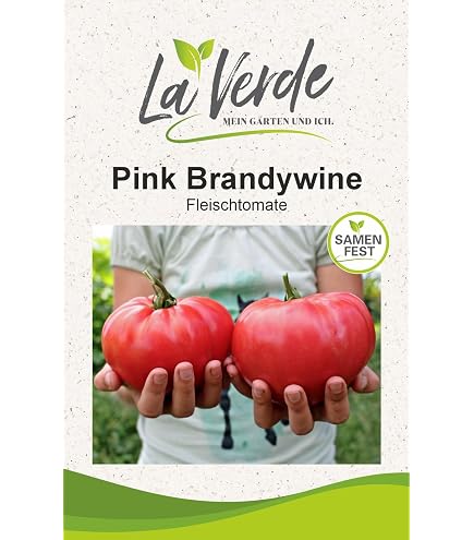 5 Korn Saatgut Tomatensamen Tomate Campari F1 Spitzensorte : Amazon.de:  Garten