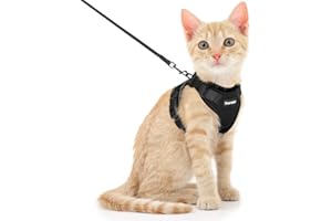 Dooradar Katzengeschirr mit Leine Ausbruchsicher, Katzenleine mit Geschirr für Katzen Mittelgroße, Reflektierend, Katzengeschirr Große Katze, XS, Schwarz