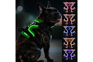 Joytale Harnais Lumineux Rechargeable pour Petits Chien, Harnais LED Anti-Traction Chien réglable réfléchissant avec poignée, pour Promener la Nuit, Vert, S