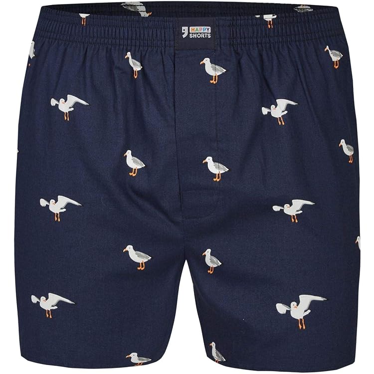 Happy Shorts Boxer americano da uomo Webboxer Pride Big Hearts