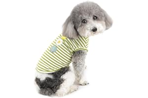 ZUNEA Maglietta per Cani Piccola Taglia Ragazza Ragazzi Morbido Cotone Estate T-Shirt A Righe Cucciolo Vestiti Camicia Canotta Pet Shirts Gatti Abbigliamento Chihuahua Verde M