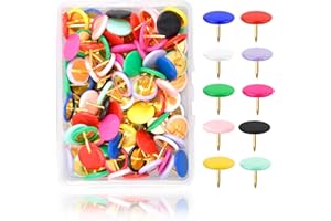 NRAMWELL Colourful Push Pins, 100 PCS Plastic Head Thumb Tacks with Storage Box, Map Push Pins, Creative Decorative Thumbtacks for Wall Drawing, Cork, Notice and Bulletin Boards, 12 Colors