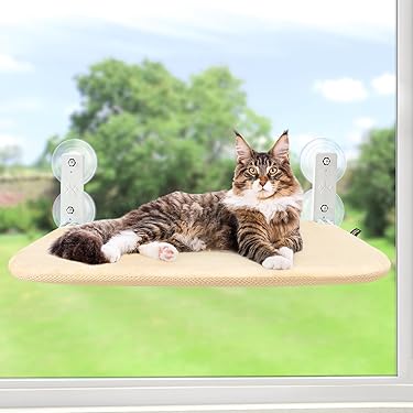 Kattenhangmat Raam - Kattenbed Raam - Sterke Zuignappen Raamzitje Voor Katten Kattenligplek Zonder Boren Geschikt Voor Katten Tot 6 Kg Afneembare Hoes Ademende Mesh Stabiel En Stevig Ontwerp
