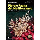 Atlante di flora e fauna del Mediterraneo. Guida alla biodiversità degli ambienti marini. Ediz. illustrata