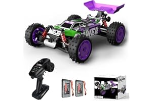 dexinco RC Auto, 1/16 schneller RC Buggy, High Speed 40 km/h ferngesteuertes Auto, 4X4 Offroad Ferngesteuerter Buggy, IPX4 wasserdicht, 2,4 GHz, 2 Lipo-Batterien, Monster RC Truck S911