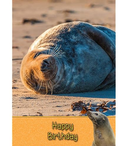 Old English Co. Funny Well Done Card For Him Or Her - Tarjeta De