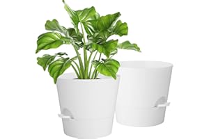 IDEALIFE 10 Inch Maceta con Plato, 2 Packs Macetas Plástico Maceteros Decorativos Interior con Agujeros de Drenaje,Riego Automático Macetas para Plantas Flores,Decoración del Hogar Balcón Jardín