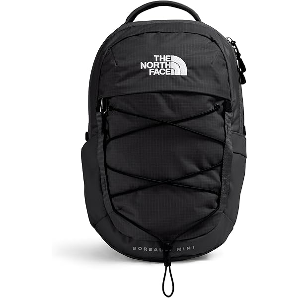 Buy The North Face Access Pack 28 L Laptop 15" Backpack at Amazon.in