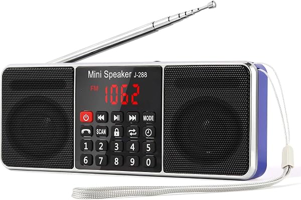 Radio J-288 PRUNUS Portable FM AM(MW) MP3 TF USB AUX avec Haut-Parleur Bluetooth, Écran LED, Fonction de Minuterie de Sommeil. (sans la Fonction de Mémorisation Manuelle)