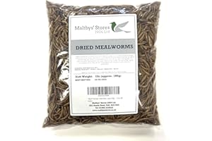 MALTBYS' STORES 1904 LTD Premium Dried Mealworms, 1L Bag Wild Bird Food (Approx weight 160g - 1 litre) LPD