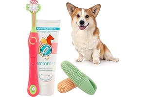 emmi-pet Set dentifricio e spazzolino per cani – 4 pezzi, spazzolino piccola taglia, spazzolino denti cane 3D rosa, Dentifricio 75 ml, 2 ditalini – Cura dentale per cuccioli e cani taglia media