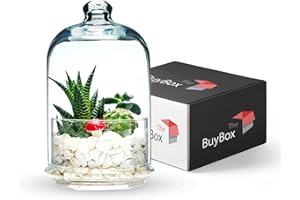 GOSOYO Barattolo di vetro per terrario con coperchio per piante, contenitore per alimenti in vetro premium, scatola per biscotti, barattolo per biscotti, terrario vetro (X Large)