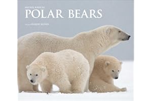 Polar Bears: A Life Under Threat