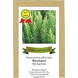 Rosmarin - Bienenweide- Rosmarinus officinalis (50 Samen)