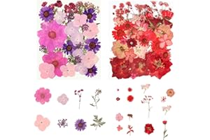 Auriselle 66 Piezas Flores Naturales secas prensadas, Hojas Mixtas, Margaritas, envasadas al vacío, Reutilizables, Hacer Joyas Resina, Velas DIY, Colgantes, Fundas móviles, Decoraciones artísticas