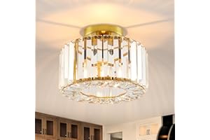WILON Ceiling Lights, Gold Light Shade K9 Crystal Chandelier Lamp with Metal Lampshade, E27 Gold Ceiling Lighting, Modern Light Fittings for Hallway Living Room Bedroom Hall Home Decoration