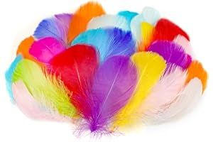 AOOTE Plumes de Couleur, 100PCS Plume Décoration, Plumes Loisirs Creatifs, Plume d'oie Naturelle, pour DIY Dreamcatcher, Noël, Anniversaire, Fête de Mariage, Décoration d'intérieur
