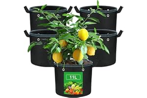 VIEWALL Lot de 5 Sacs de Plantation de 11 l avec poignée et œillets en métal, Pots en Tissu pour dans Une Tente de Culture, Sacs de Plantation réutilisables, pour la Culture de tomates