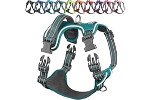 VIVAGLORY Easewalk Hundegeschirr, Anti Zug Hundegeschirr für Training & Spazieren, Anti Zieh Geschirr Welpengeschirr Mit Griff, Ausbruchsicher & Non-Stop Anti-Zug für Welpe Hunde, M, Pfauengrün