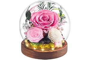 ‎DN DECONATION Konservierte Ewige Rose im Glas mit Licht, Rosa Blumen in Glaskuppel als Geschenk für Mama, Frauen, Oma, Freundin zum Muttertag, Geburtstagsgeschenk, Valentinstag, Hochzeitsdekoration, Dauerblume