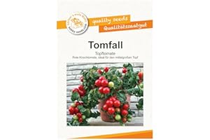 GÄRTNER'S ERSTE WAHL! BOBBY-SEEDS.COM Tomfall Topftomate von Bobby-Seeds Portion