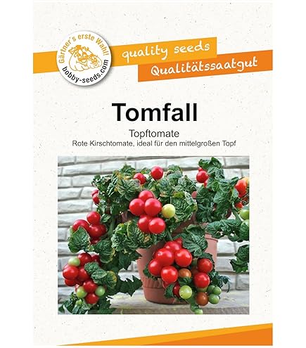 Minibel Dwarf Tomato Bonsai Seeds for Balcony, Windowsill, Chemical-Free,  Sweet Taste, Deliciously Fruity : Amazon.com.be: Garden